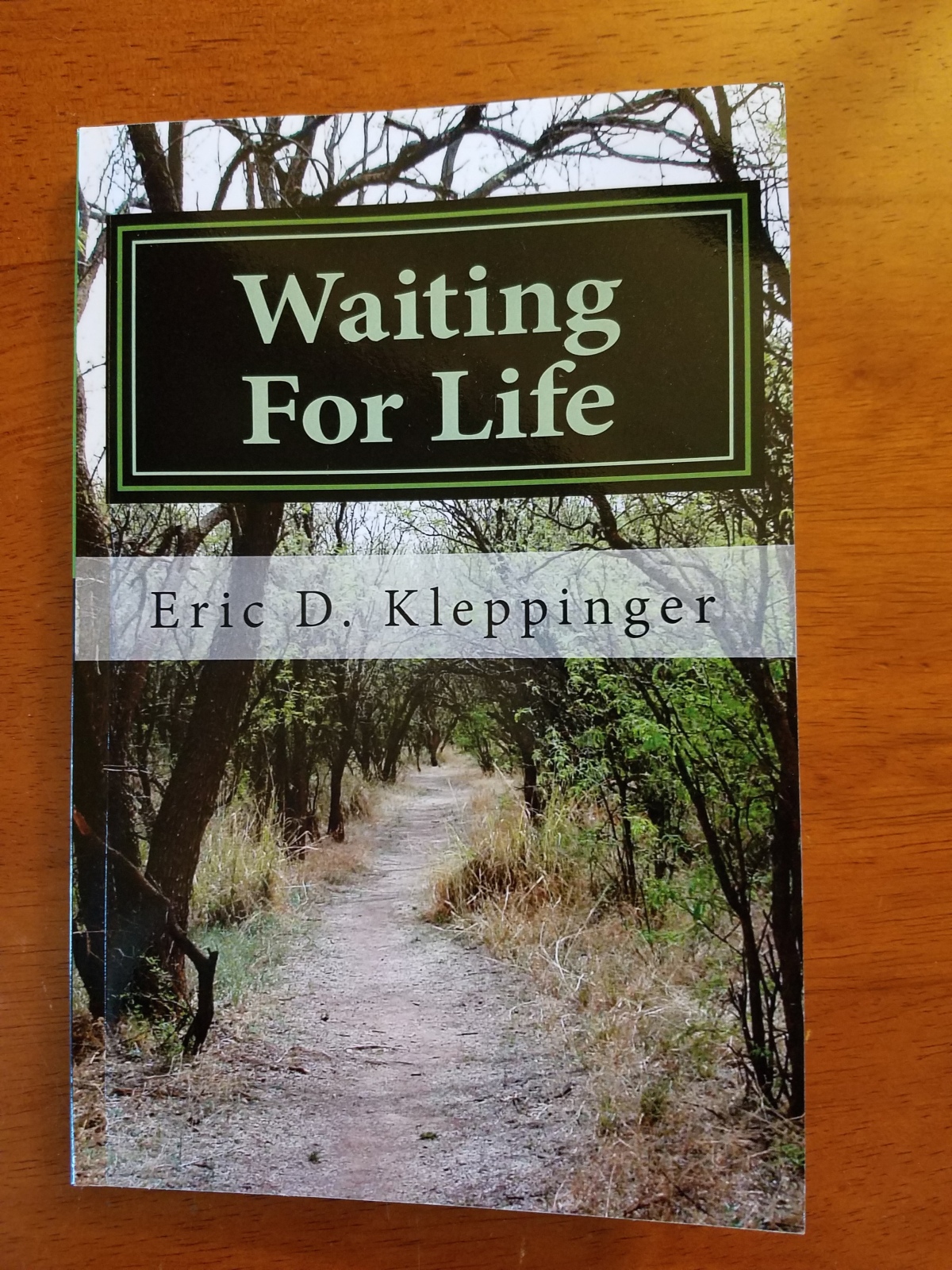 “Waiting For Life”–THE BOOK!